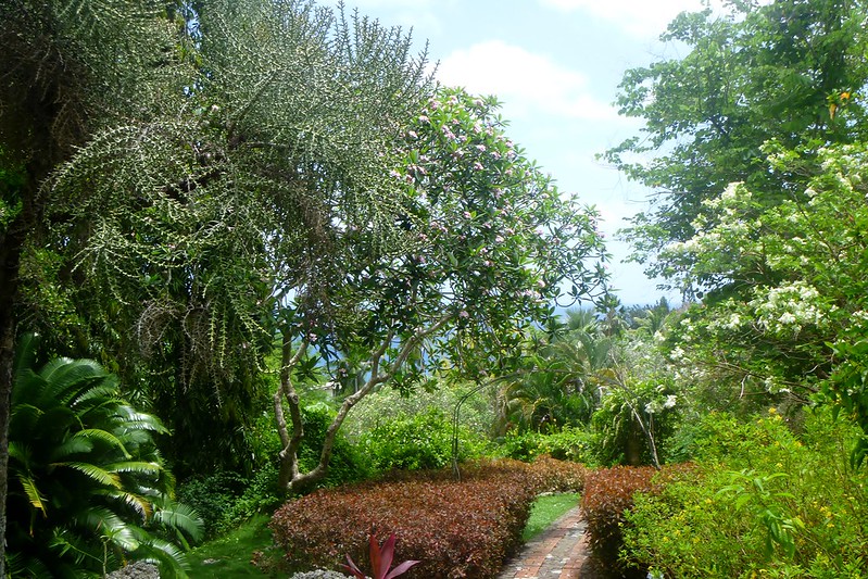 Barbados Andromeda Gardens