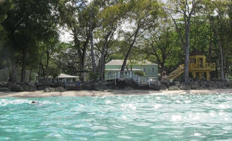 Barbados Folkstone Marine Reserve
