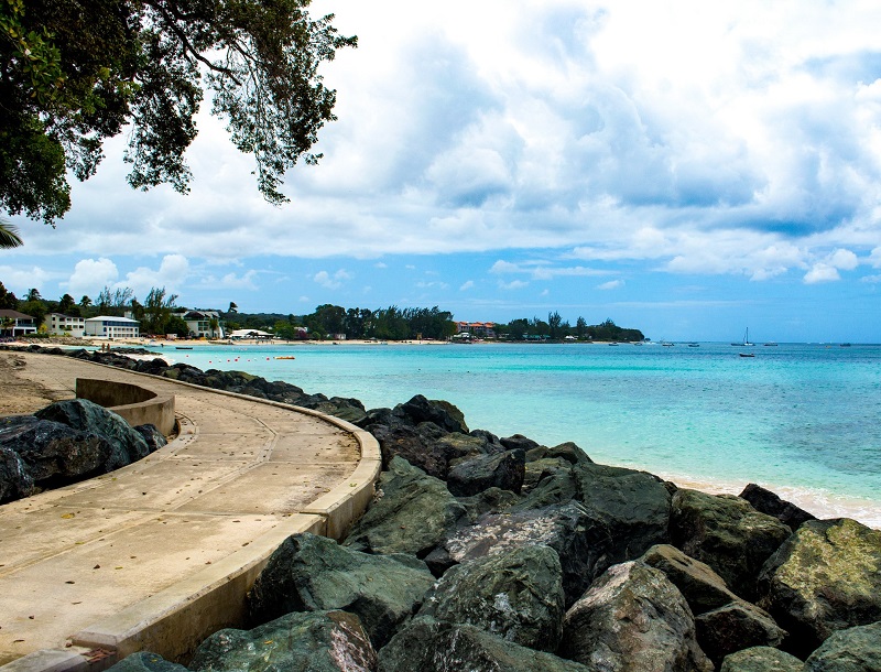 Barbados Folkstone Marine Reserve Local Bajan
