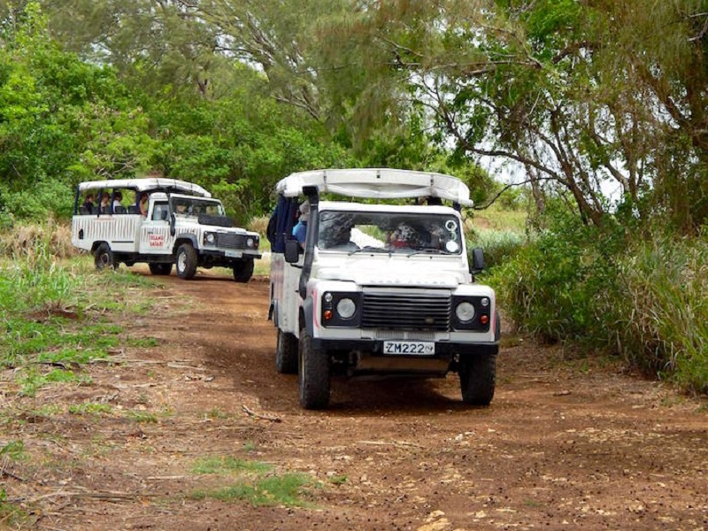 Barbados Island Safari tours