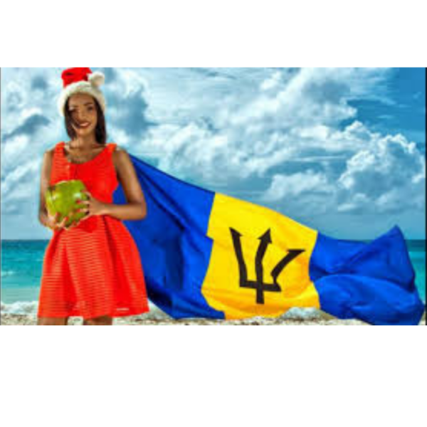 Christmas Wonderland Festival: December 16, 2023 – A Bajan Christmas Delight!