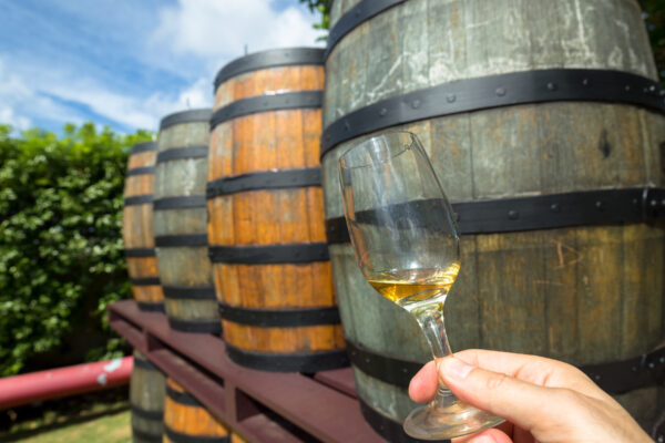 Sipping the Spirit of the Island: A Bajan’s Guide to Rum Distillery Tours in Barbados