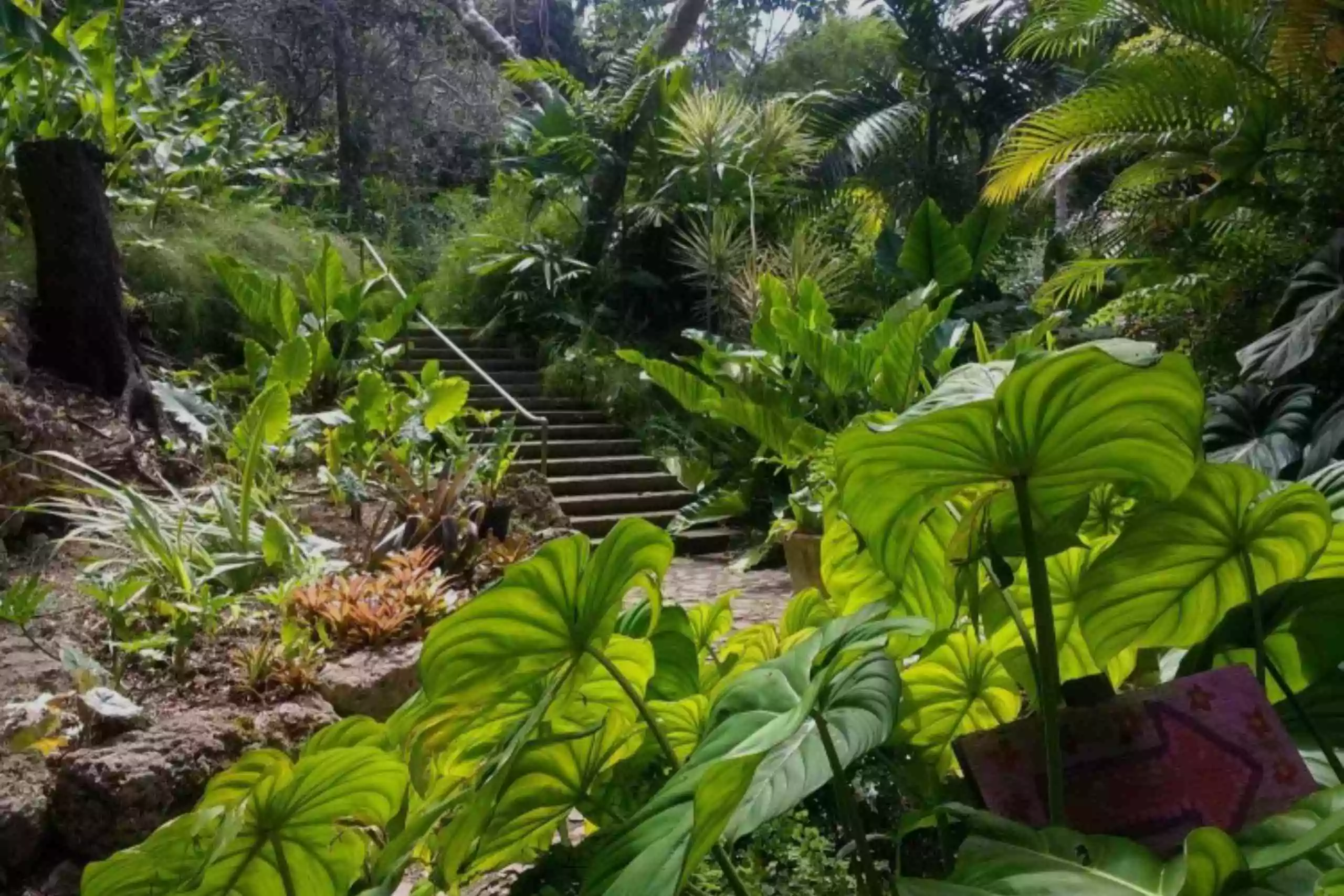 Andromeda Botanic Gardens