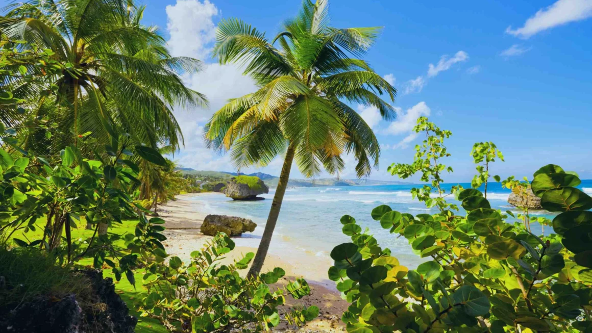 A Day in the Life: Exploring Local Markets and Cultural Events in Barbados