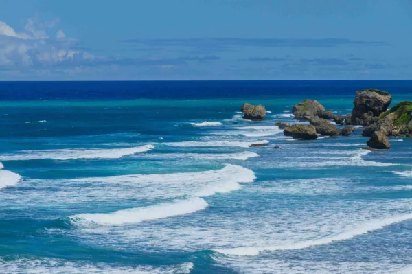 Discover the Most Stunning Beaches in Barbados: A Beach Lover’s Guide