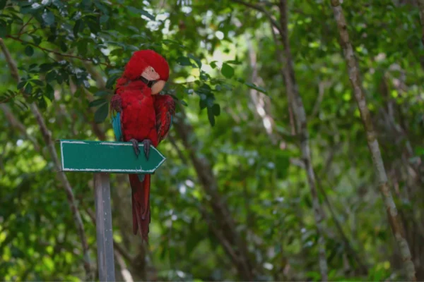 Top 10 Family-Friendly Adventures in Barbados: Fun for All Ages!