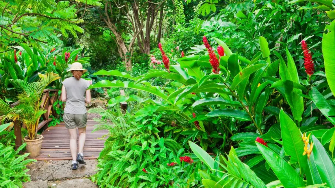 Andromeda Botanic Gardens