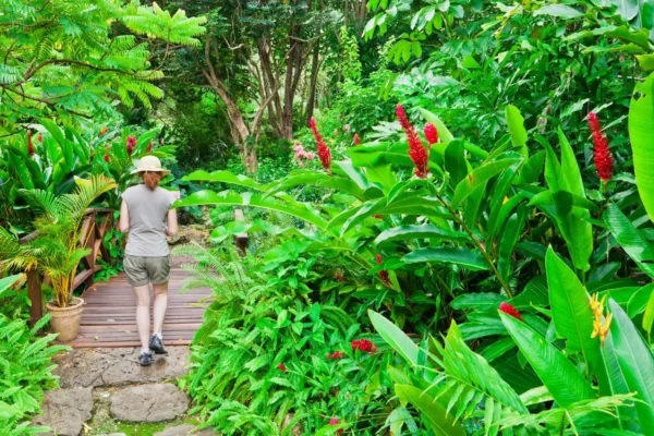 Must-See Botanical Gardens in Barbados