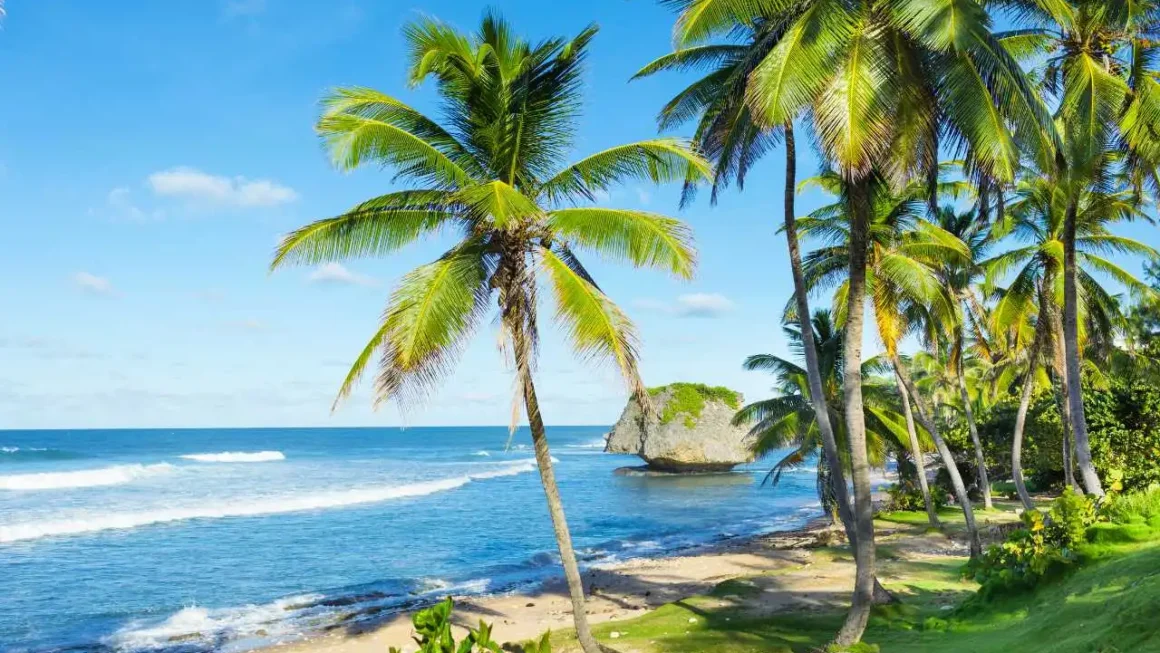 Beaches in Barbados