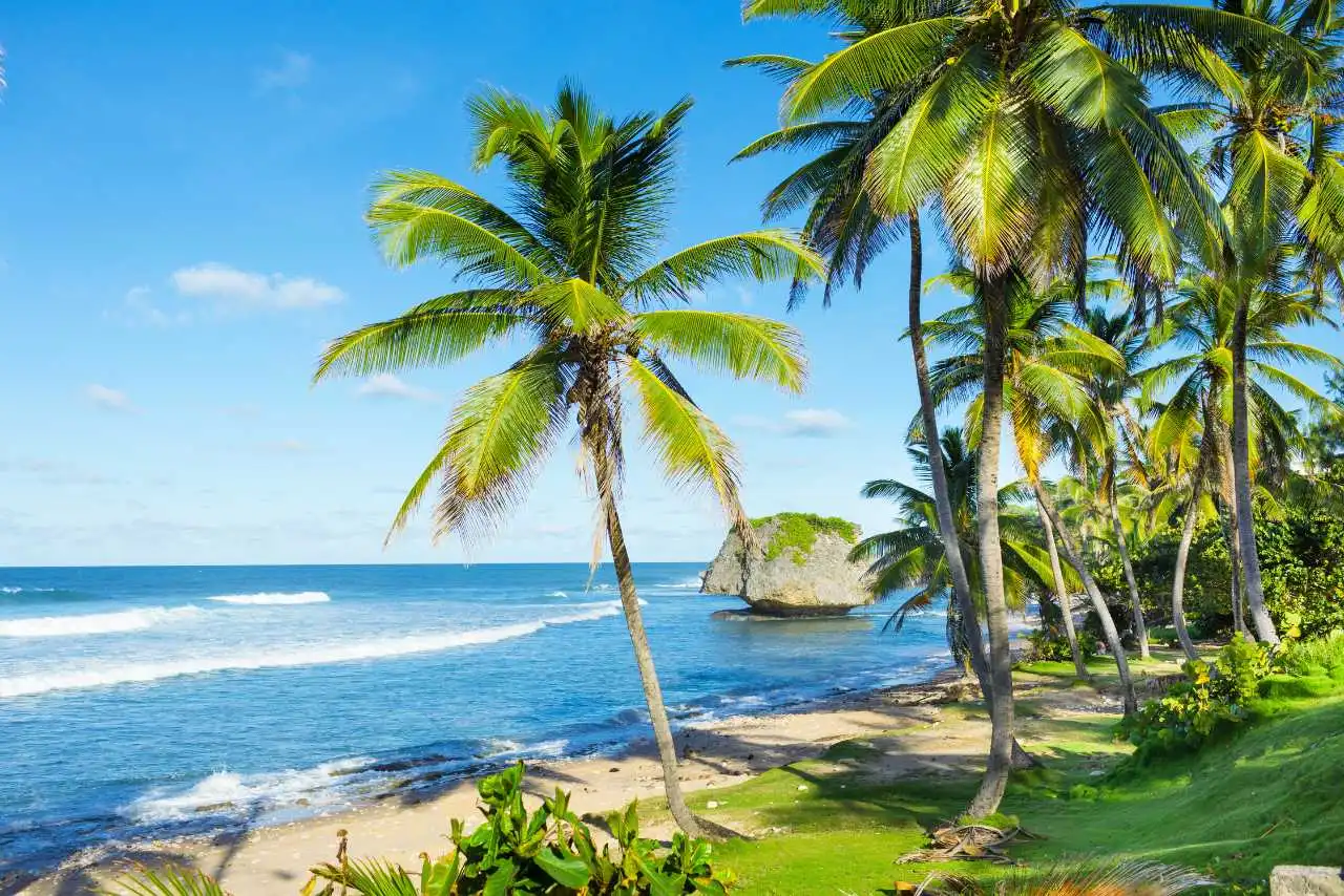 Beaches in Barbados