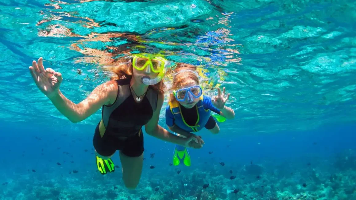 Snorkeling Around Barbados