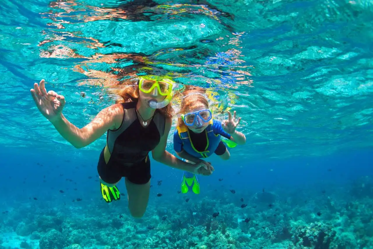 Snorkeling Around Barbados