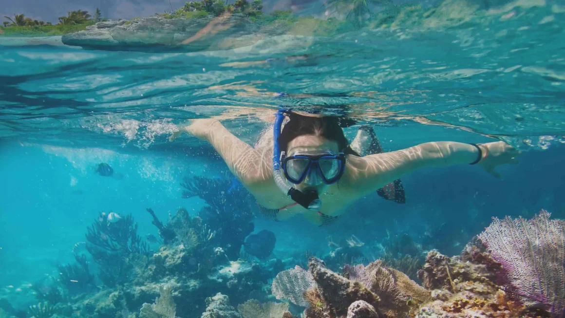 Snorkeling in barbados