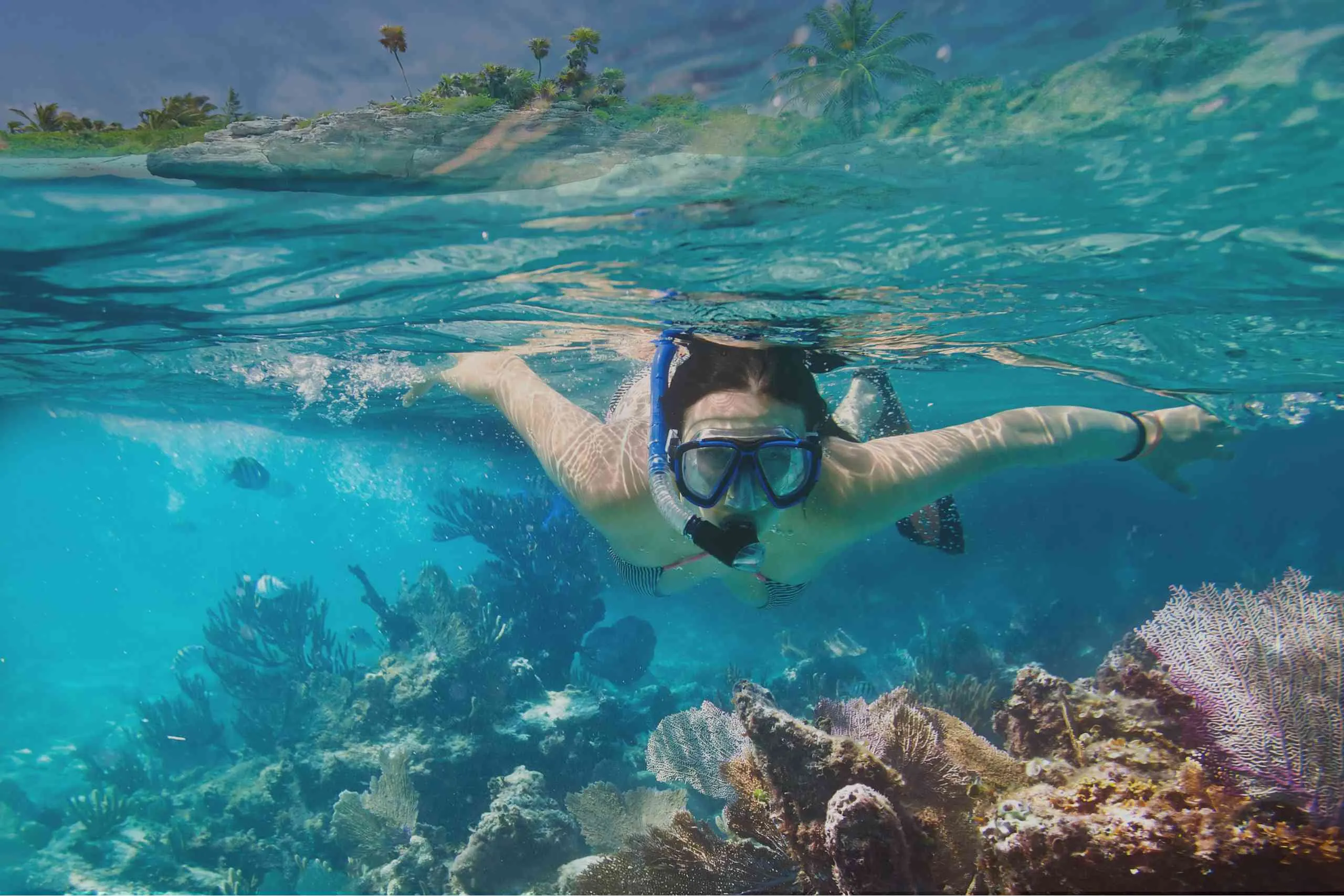 Snorkeling in barbados