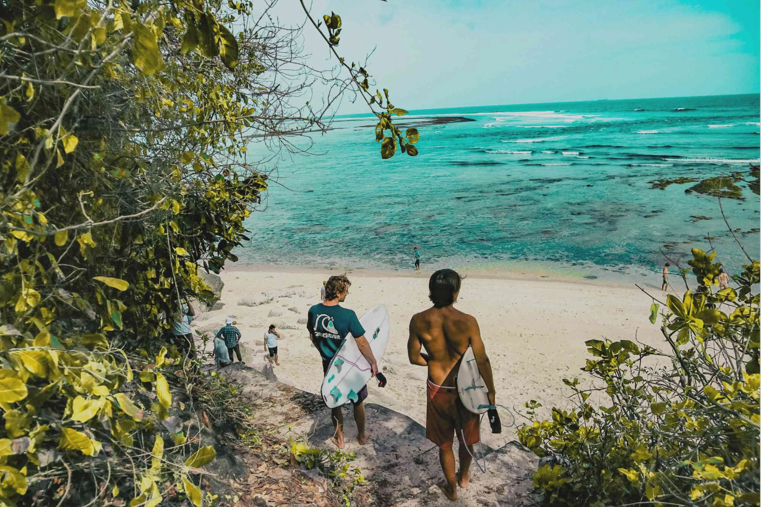 Surfing in Barbados